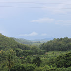 IMG_9333.JPG