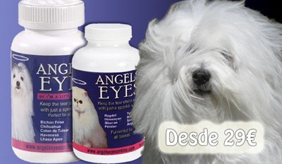 angels eyes tienda cuida tus mascotas