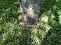 IMG_0405.jpg IMG_0405.jpg