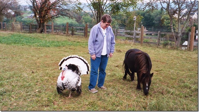 Rae and animals at Barbara Jo's