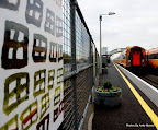 Anam Beo Exhibition Tullamore Train Station