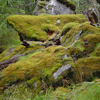 DSC02968.JPG