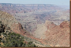 IMG_0092-1