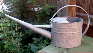 ESHW2023 Watering Can
 $18.00