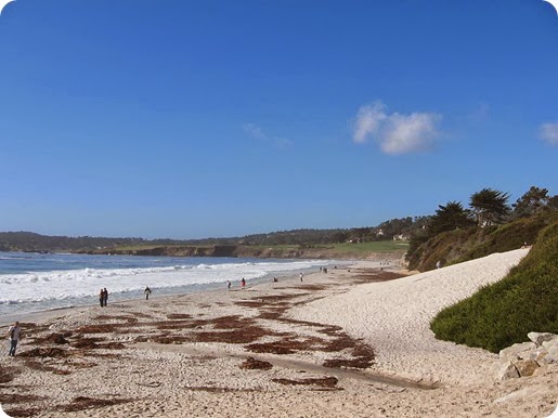 Carmel_Beach_great beach in the Us