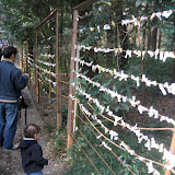 Unwanted omikuji (fortunes) - these are burned by the shrine staff Unwanted omikuji (fortunes) - these are burned by the shrine staff