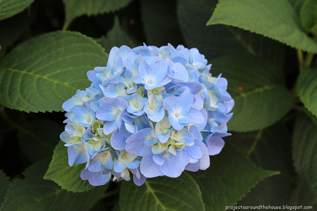 [IMG_2624%255B3%255D.jpg]