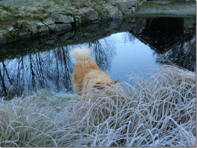 oktober 2011 023