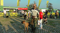 S1510017.JPG
