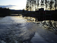 S5030599-1.JPG