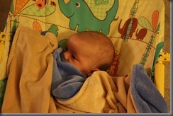 8 weeks 048