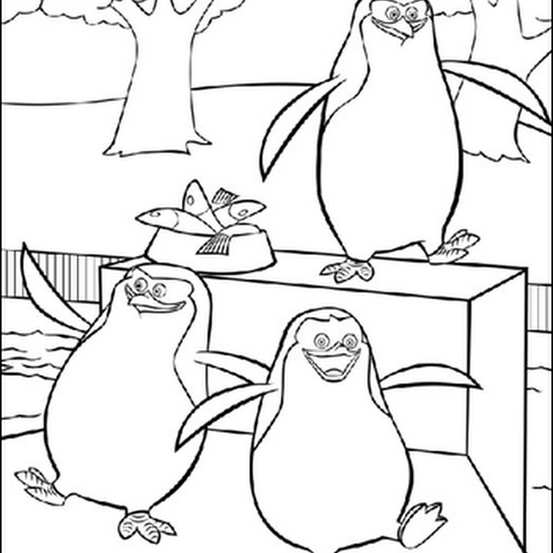 Desenho de Madagascar para Colorir