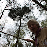 IMG_5447.JPG