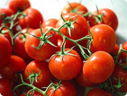 pomodoro pomodoro