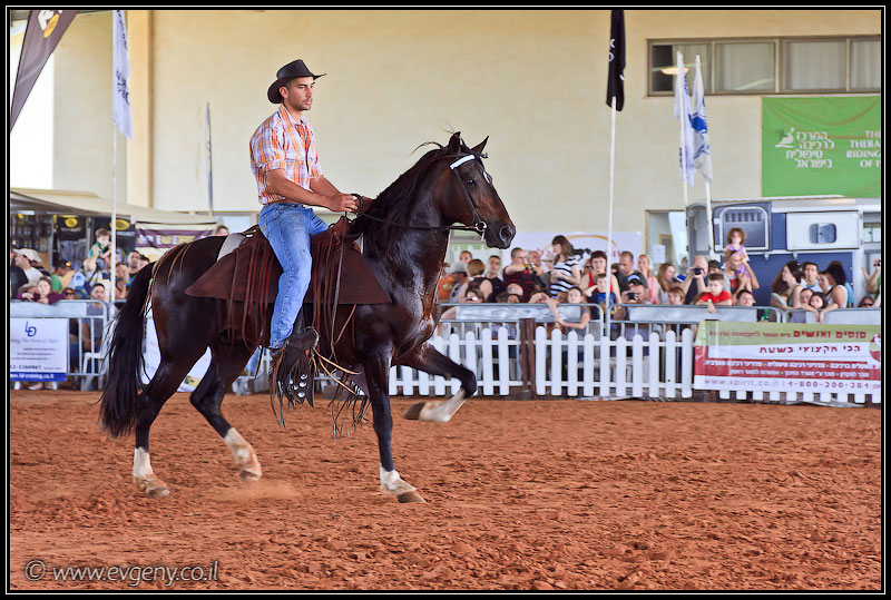 il/Фото: Stallion Show 2011 (20110416 stllion show 085 2368)