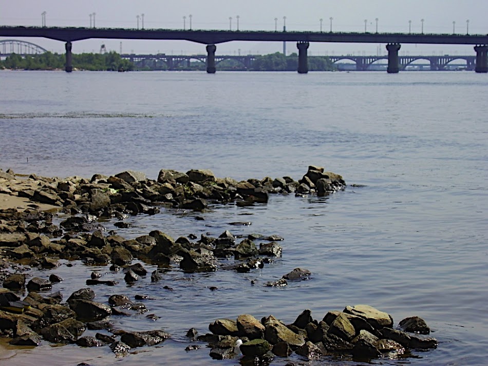P7310055.JPG
