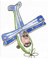 When Pigs Fly