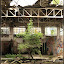 – ein Baum inmitten der Halle – ein Baum inmitten der Halle