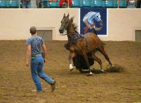 [IMG_3828%255B5%255D.jpg]