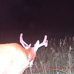 ICAM0068.JPG