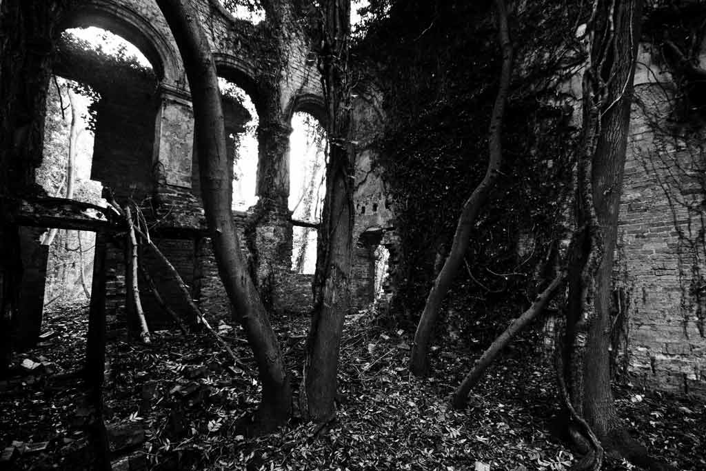 [Nettleham-Hall-20%255B7%255D.jpg]
