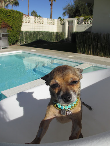 Minnow has even taken to rapping about her experience and the home she shares with Dr. Pia Salk and the rest of her adopted sibling. (Note the Bling!)