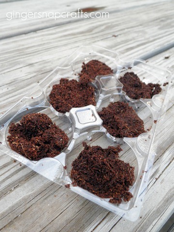 [go-green-and-giggle-seed-kit_thumb24.jpg]