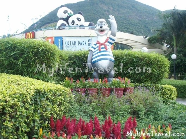 Ocean Park Asian Animal 20 Ocean Park Asian Animal 20