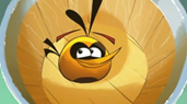 angry-birds-seasons-orange-bird-285x155