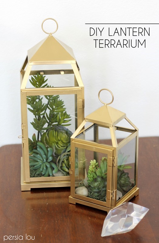 lantern terrarium 8