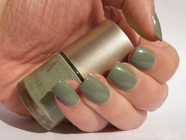 [004-accessorize-nail-polish-wyoming-notd-review-swatch%255B4%255D.jpg]