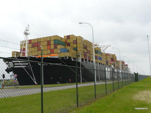 Msc Danit