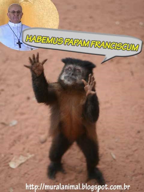 [papa-animais%255B3%255D.jpg]