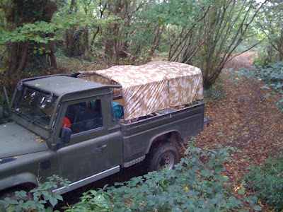 Autumn in the woods....