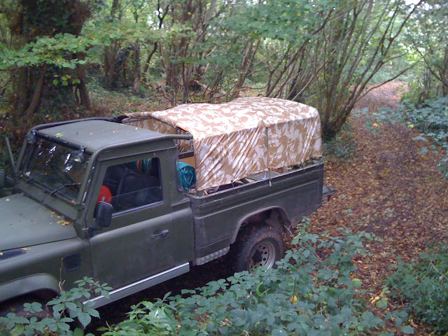 Autumn in the woods....