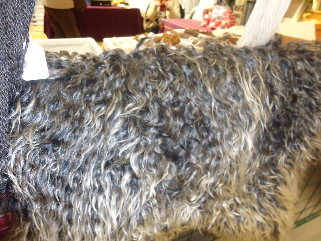 [DSC01217%255B3%255D.jpg]
