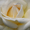 IMG_2835.JPG