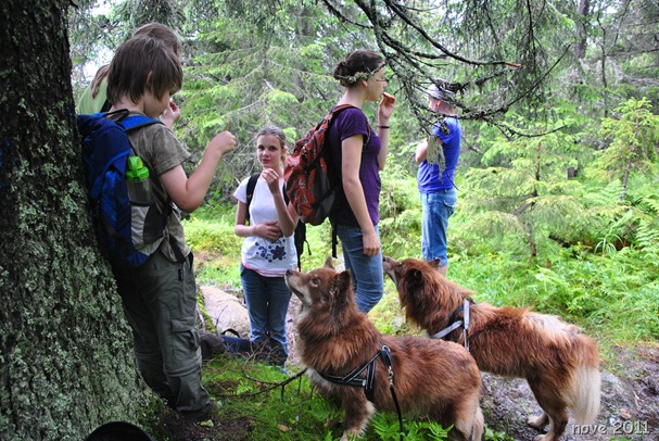 Bukollen 010 Bukollen 010