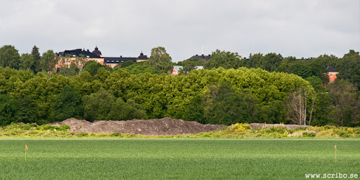 bild på snöhögen på Kungsängen från öster, juni