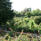 P1040014.JPG