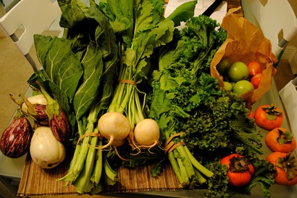 csa vegetables