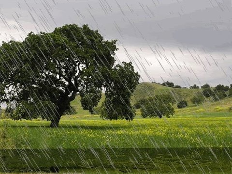 [Rain7.jpg]