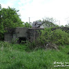 dsc06579.jpg