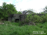 dsc06579.jpg