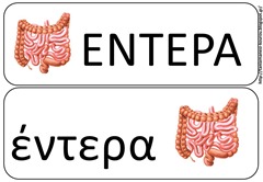 σωμα11 σωμα11