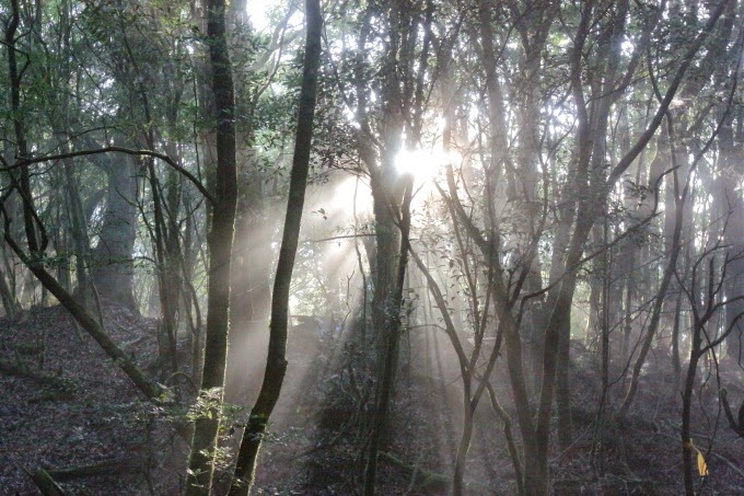 2014_1005_062018 2014_1005_062018