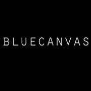 blue canvas review