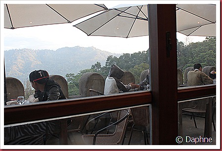 IMG_1949 IMG_1949