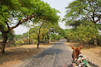 DSC01423.JPG