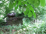 DSCF5409.JPG